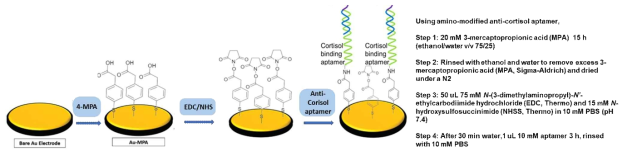 Amino-modified Anti-cortisol aptamer를 고정화하기위해 MPA, EDC/NHSS 처리가 필요함