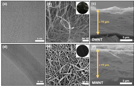 DWNT (이중층 탄소나노튜브)의 (a) TEM 이미지, (b) 윗부분 SEM 이미지, (c) 옆부분 SEM 이미지. MWNT (다층 탄소나노튜브)의 (d) TEM 이미지, (e) 윗부분 SEM 이미지, (f) 옆부분 SEM 이미지