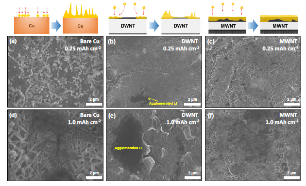 집전체 종류에 따른 리튬 증착 테스트 및 미세구조 분석 구리 호일, DWNT 집전체, MWNT 집전체를 활용하여 전기화학적 수명특성 평가 진행