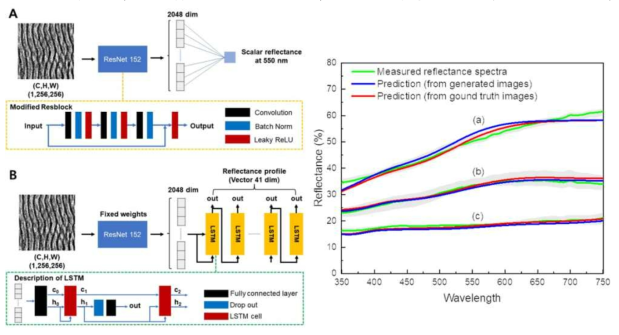 (A) LIPSS 이미지로부터 550n 파장에 대한 표면의 반사율을 예측하는 딥러닝 모델의 개략도. (B) LIPSS 이미지로부터 350 nm-750 nm 파장 범위의 표면 reflectance spectrum을 예측하는 딥러닝 모델의 개략도. (오른쪽) reflectance spectrum 예측 결과