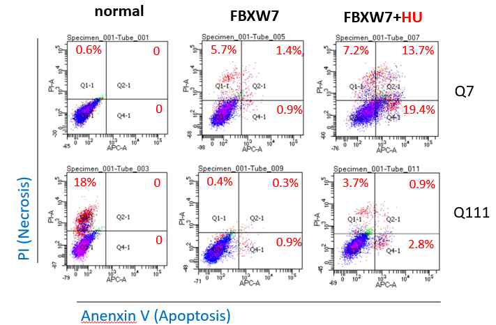 AnnexinV assay