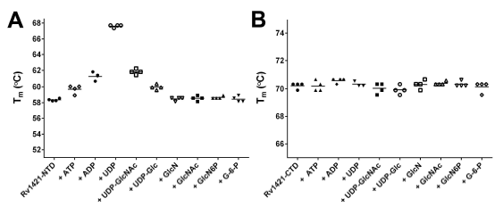 Thermal stability plot of Rv1421 domains interacting with various ligands (each 5 mM). (A) NTD and (B) CTD