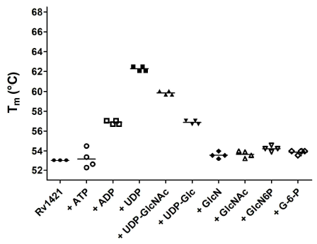 Thermal stability plot of Rv1421 interacting with various ligands (each 5 mM)