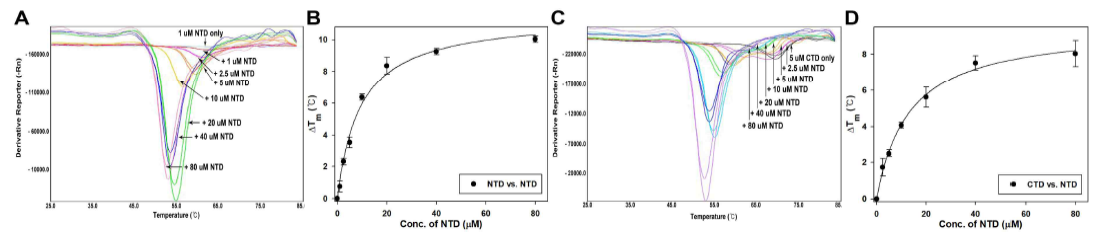 Intramolecular interaction between Rv1421 domains. (A) TSA of Rv1421-NTD (1 μM) vs. various concentrations (1-80 μM) of Rv1421-NTD. The melting profiles were monitored in the presence of increasing concentrations of Rv1421-NTD . (B) Non-linear square-fit curve for intramolecular interaction between Rv1421-NTDs. (C) TSA of Rv1421-CTD (5 μM) vs. various concentrations (2.5-80 μM) of Rv1421-NTD. The melting profiles were monitored in the presence of increasing concentration of Rv1421-NTD. (D) Non-linear square-fit curve for the interaction of Rv1421-CTD with NTD