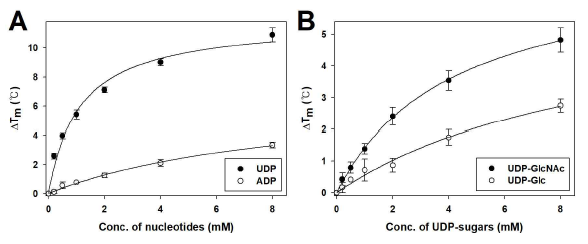 Non-linear square-fit curve of the binding of nucleotide diphosphates and UDP-sugars to Rv1421-NTD. (A) ADP and UDP, (B) UDP-Glc and UDP-GlcNAc