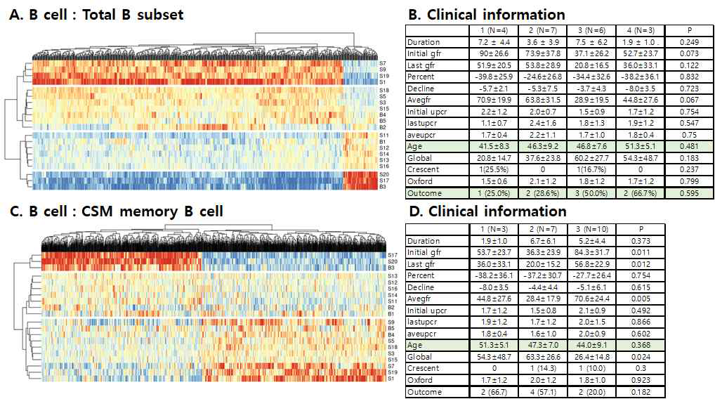 A, C: 각 subset 내 대표적인 cluster에서 PCA analysis로 선정된 differential gene list로 작성된 heatmap 결과. B, D: Heatmap에서 grouping 되는 환자 대상자에서, 임상적인 변수와의 유의성이 확인되면, 추가 분석을 위한 subset 내 cluster 선정에 활용함