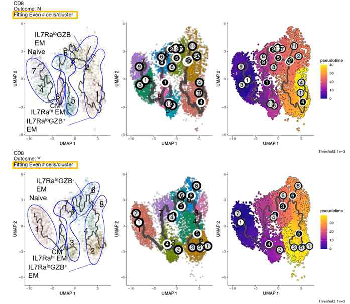 CD8 subset에서 pseudotime analysis 결과. IL7RaloGZB- cluster에서 IL7RaloGZB+ cluster로 진행하는 분화 방향의 차이와, 각 cluster 별 chemokine receptor의 발현차이를 활용하여 환자 그룹에 따라 분화 패턴의 차이를 확인할 수 있음