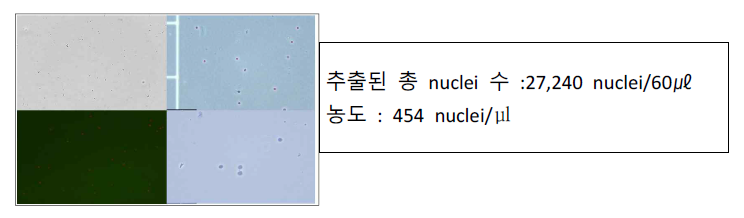 신장조직검사 샘플에서 단일핵 수준 전사체 프로파일링을 위한 핵 추출 정도관리 결과