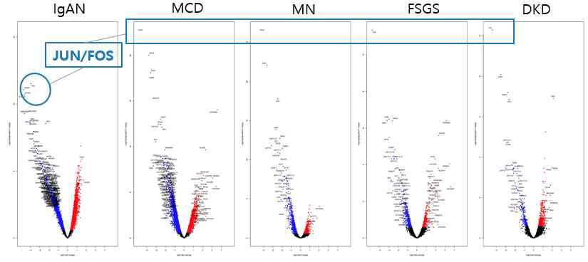 여러 사구체신염에서 공통적으로 감소한 differentially expressed gene을 확인한 공간전사체 프로파일링 결과 (unpublished data)