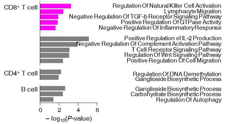 ATAC peak ontology 분석 결과 (pink: enriched in outcome Y, grey: enriched in outcome N group)