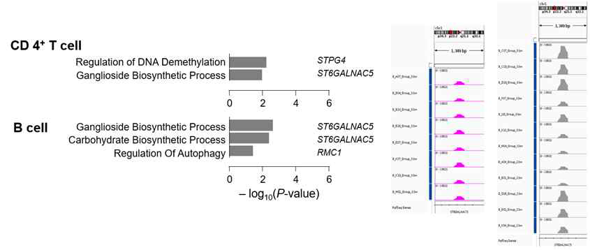 Differential peak 주변의 유효유전자에 대하여 gene ontology 분석 시행 후 특히 ST6GALNAC5 위치에서 유의한 chromatin openness의 차이를 확인함. (grey color: enriched in outcome N)