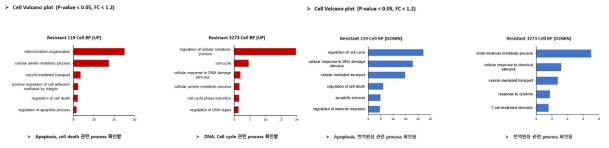 항암제 내성 세포주 유래 단백체분석