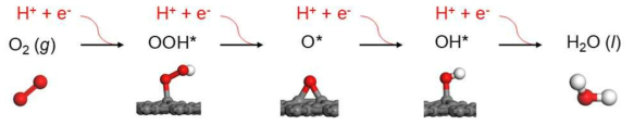 탄소 표면 위에서 산소 환원 반응에 대한 반응 중간체의 흡착 구조