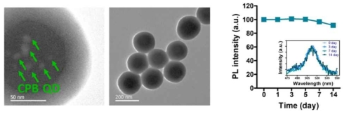합성 CPB/SiO2 QD/NP TEM 이미지 및 수용액 내 시간에 따른 발광세기 변화
