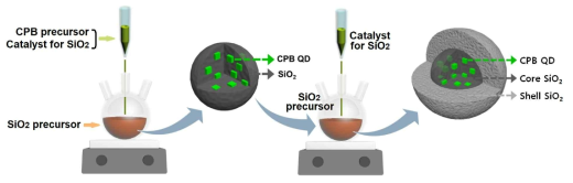 CPB/SiO2 양자점/나노입자 합성 공정 개략도