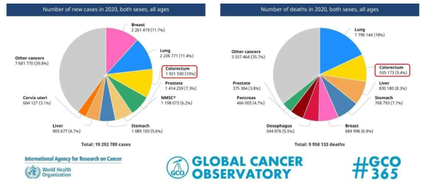 2023년 세계보건기구 발표 국제암통계 자료. (좌측) 2020년 신규 암진단 환자 수, (우측) 2020년 암환자 사망률