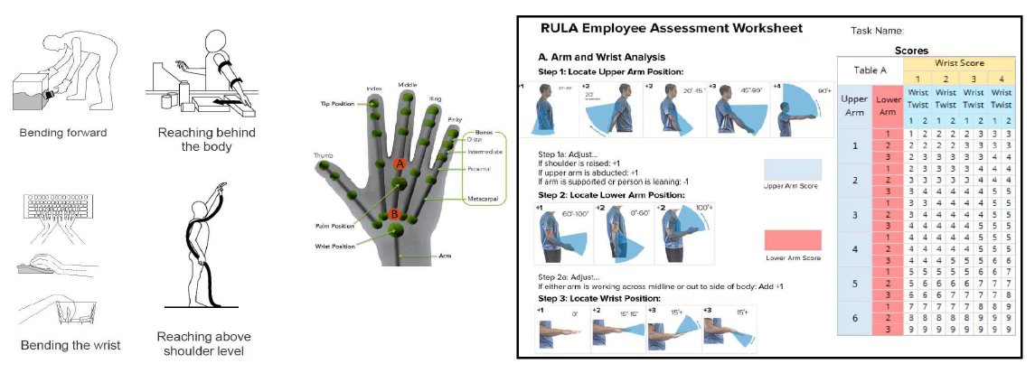 작업자의 다양한 동작 및 자세, 손동작의 예시와 RULA 스코어링