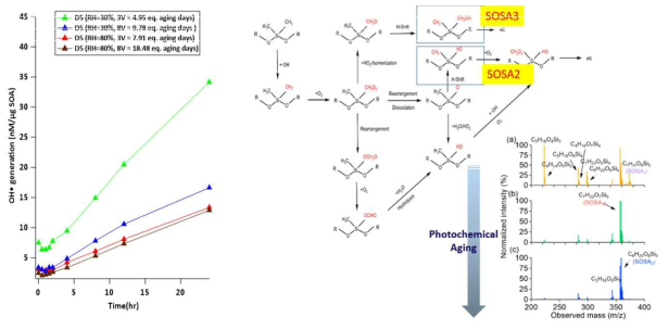 Siloxane SOA 생성 경로와 환경인자 및 노화에 따른 ROS 생성