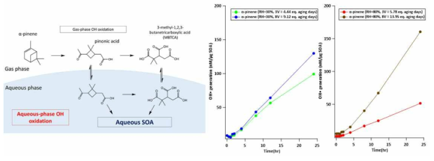 α-pinene SOA 생성 경로와 환경인자 및 노화에 따른 ROS 생성