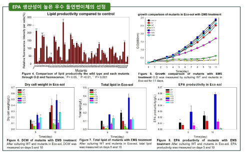 바이오매스 및 지질, EPA 생산성이 우수한 돌연변이체 선별
