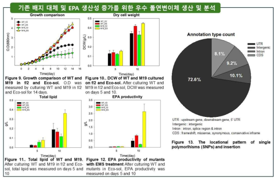 EPA 생산성 향상을 위한 무작위 돌연변이 제작 및 분석