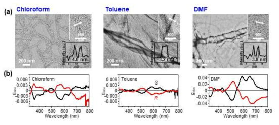(a) 용매에 따른 DPPPT 나노구조체 TEM 이미지와 (b) 해당 용액으로 제작한 박막의 CD 스펙트럼
