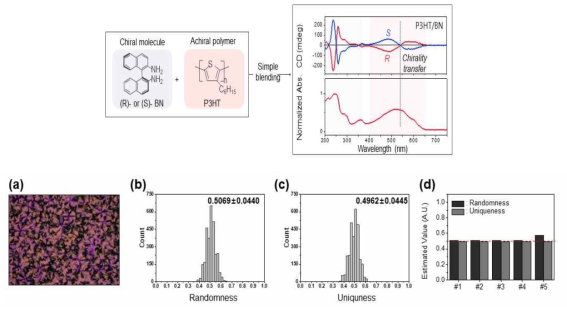 P3HT와 BN 분자 구조, P3HT/BN 하이브리드 박막의 CD 스펙트럼 (위)과 UV-Vis 흡수 스펙트럼 (아래), (a) chiroptical P3HT/BN 하이브리드 박막의 편광현미경 이미지와 이로부터 추출한 (b) randomness, (c) uniqueness 분포, (d) 5개 샘플에서 분석한 randomness와 uniqueness value