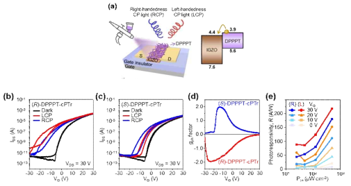 Chiroptical DPPPT nanohelix 를 이용한 phototransistor의 (a) 소자 구조, (b,c) DPPPT 광학이성질 구조에 따른 transfer curve, (d) 게이트 전압에 따른 photocurrent dissymmetry factor (g), (e) 빛 세기에 따른 photoresponsivity