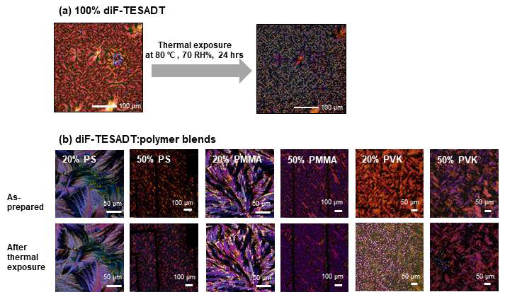 (a) 100% diF-TESADT 박막의 80 ℃, 상대습도 70 RH%, 24 시간 노출 전 후 편광현미경 이미지, (b) 다양한 고분자와 블렌드한 diF-TESADT 박막의 편광현미경 이미지