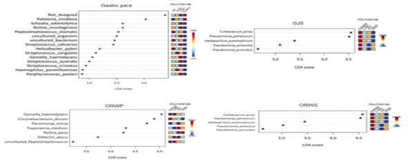 Species level에서 2차년도 검체별 대조군 및 위암 환자군(저도/고도 위선종, 위암)의 LEfSe 분석 * CON, Control; LG, Low-grade dysplasia; HG, High-grade dysplasia; GC, Early/advanced gastric cancer GJP, Gastric juice (bacteria); GJS, Gastric juice (EV); ORWP, Oral washing fluid (bacteria); ORWS, Oral washing fluid (EV); SR, Serum