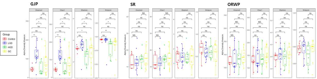 2차년도 각 검체별 대조군 및 위암 환자군(저도/고도 위선종, 위암)의 α-diversity 결과 * CON, Control; LG, Low-grade dysplasia; HG, High-grade dysplasia; GC, Early/advanced gastric cancer * GJP, Gastric juice (bacteria); SR, Serum; ORWP, Oral washing fluid (bacteria)