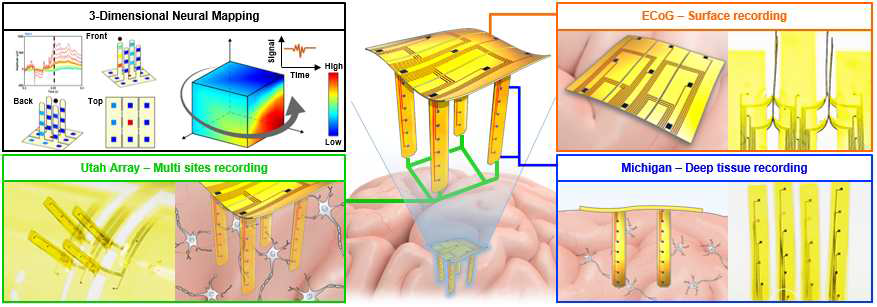 수동형 3차원 뇌 맵핑 디바이스 모식도