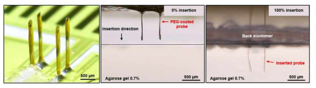 Poly(ethylene glycol) (PEG) 코팅 디바이스 및 유연한 탐침 삽입 테스트