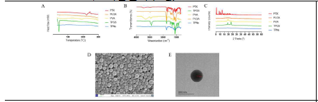 Physicochemical characterization of TPNs: (A), DSC; (B), FTIR; (C), XRD; (D), SEM image; E, TEM image.