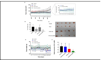 In vivo antitumor efficacy of P-NLC-Chi-siRNA. (A) Tumor growth curve following different treatments. The arrows indicate the time points of drug treatment. (B) Average tumor weights in different groups. (C) Surgically removed tumor tissues from nude mice on day 14. (D) The body weight change of nude mice (E) PD-L1 mRNA levels in tumor tissues after treated with different formulations. The PD-L1 expression level was normalized to β-actin and analyzed.