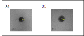 Transmission electron microscopy (TEM) image. (A), PTX-NLC; (B), P-NLC-siRNA. Samples were negatively stained with uranyl acetate.