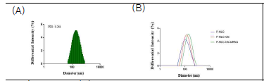 (A) Observed particle size of P-NLC-Chi-siRNA complex and (B) Change of particle size after the chitosan and siRNA complexation.