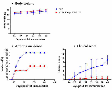 Arthriris incidence, clinical score, Body weight 결과