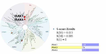 (수식)KINOME scan profiling (403) Kinases, 468 (contain mutant), 1 M screening)