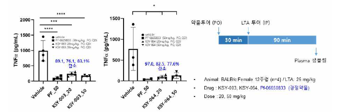 KSY-003, KSY-064 In vivo LTA challenge 결과