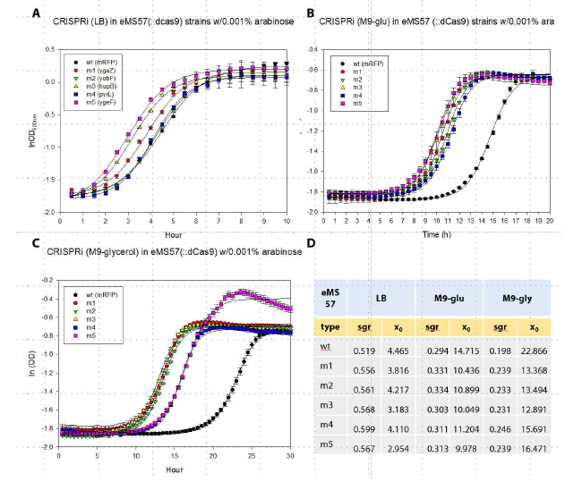 CRISPRi 처리 후 eMS57 wt 과, mutant 의 성장곡선과 성장속 도. A. LB 조건에 서 wt (eMS57)과, 각각의 deletion 균주에서의 성장곡 선. B. M9-glu 에 서의 성장곡선, C. M9-gly 에서의 성 장곡선. D. LB, M9-glu, M9-gly 에서의 비성장속도 (sgr, specific growth rate) 와 x0 (MaxOD의 1/2 를 까지 자라는 시 간, h-1)