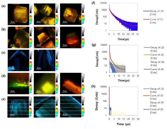 (a-e) 1-5의 TRPL 이미지. (f) (1)의 TRPL 스펙트럼. (g) (2)와 (4)의 TRPL 스펙트럼. (h) (3)과 (5)의 TRPL 스펙트럼