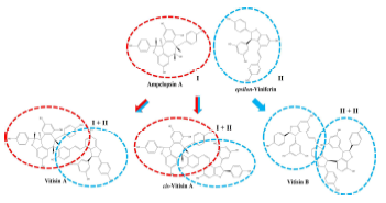 Compound A의 Structure-activity Relationship 분석