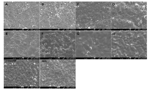 FE-SEM images of speed-sintered zirconia blocks