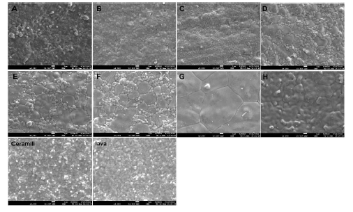 FE-SEM images of firing-simulated zirconia blocks