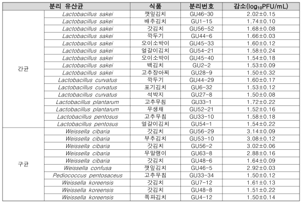 식품 유래 유산균에 의한 바이러스 감소 효과