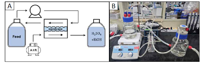 막 접촉-비용매 결정화 결합 시스템: (A): 공정 모식도, (b) 실험실 내 실제 구성