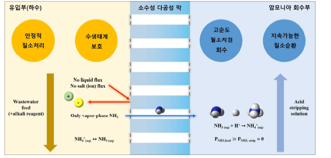 소수성 막 접촉기를 활용한 암모니아 분리-회수 원리