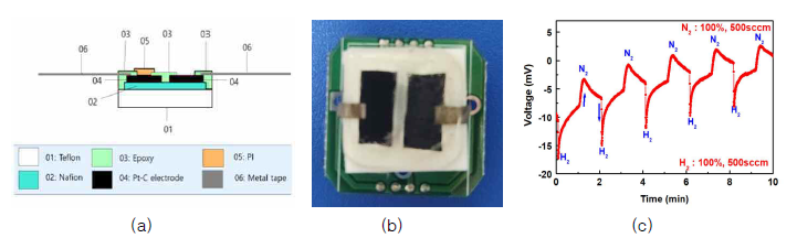 (a) 비대칭 전극 소자의 구조도, (b) 소자 사진, (c) 비대칭 전극 소자의 기전력 특성.