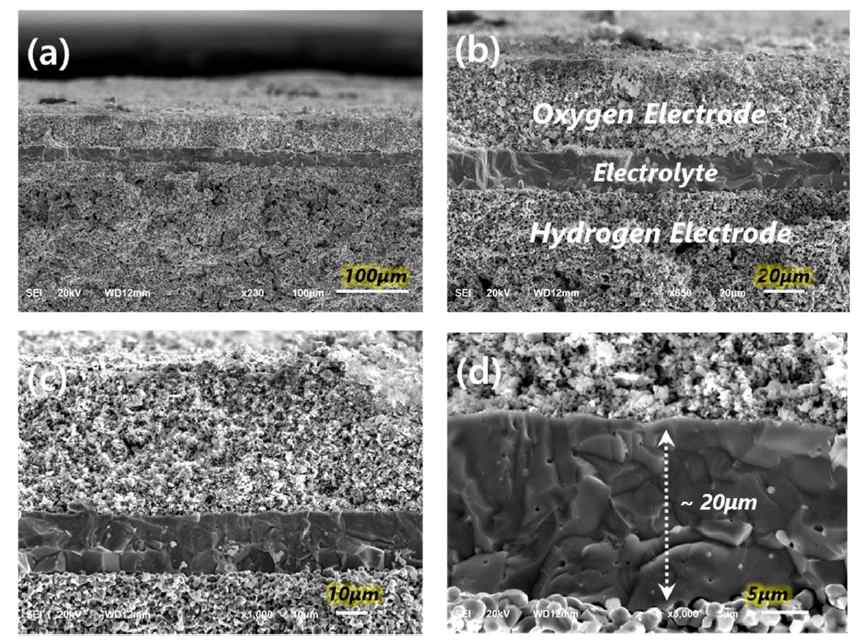 국부적 전도성을 지닌 PCEC 셀 테스트 후 SEM 미세구조